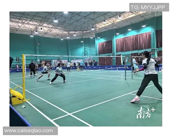 深圳羽毛球队转型之路揭秘精英赛背后的奋斗与坚持 深圳羽毛球队转型之路揭秘精英赛背后的奋斗与坚持